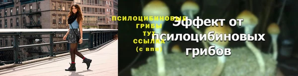 прущие грибы Алексеевка