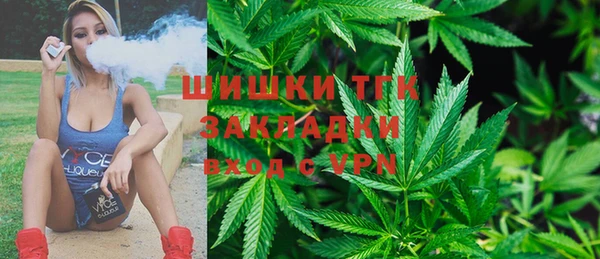 сатива Касимов