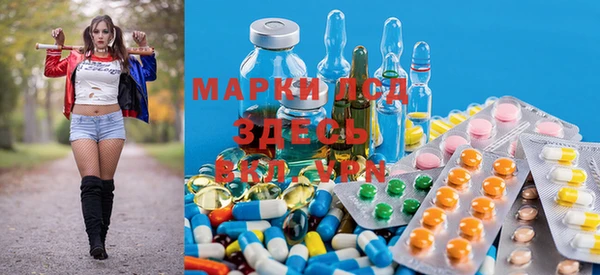 прущие грибы Алексеевка