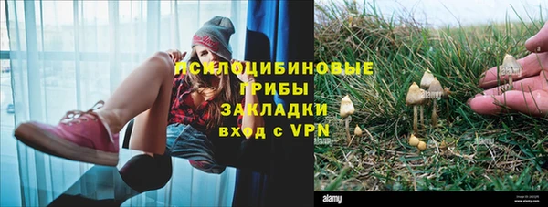 прущие грибы Алексеевка