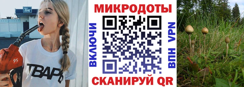 купить наркотик Ладушкин Галлюциногенные грибы GOLDEN TEACHER