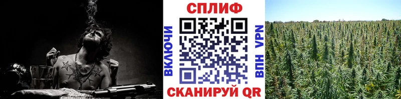 Марихуана сатива это состав Ладушкин